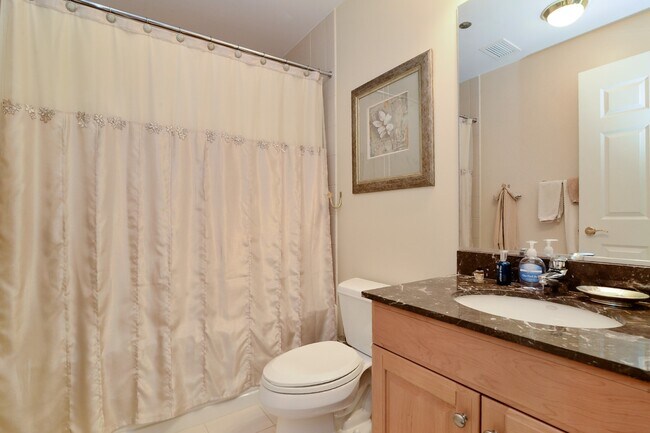 52 W Elm St unit 3501, Chicago, IL 60610 - photo 6