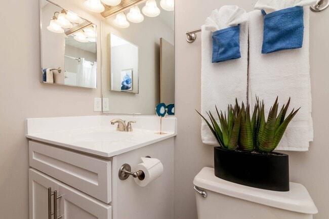 Beech's Farm, Columbia, MD 21046 - photo 6