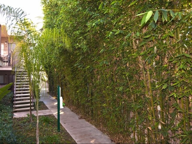 Elan Pacific Palms, San Diego, CA 92107 - photo 4