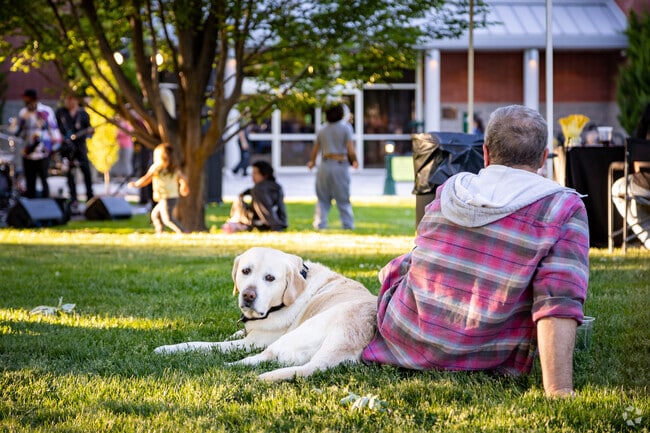 Even dogs love the chill vibes at the Eagle summer concert series.