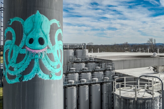 Brew Dog Brewery is known for its graffiti and artwork by local artists.