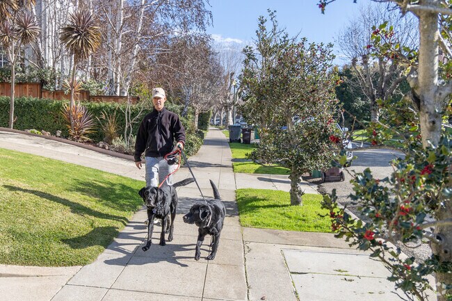 Residents and their pups love a good walk in the Crocker Highlands.