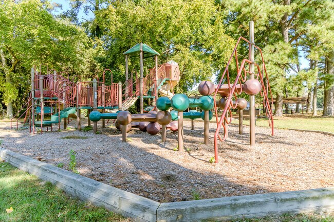 A sprawling play structure keeps the kids busy in the Princess Anne Park.