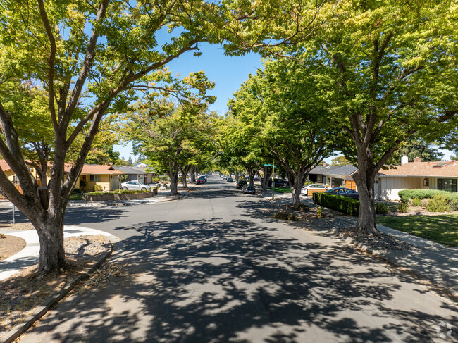 Croydon offers peaceful walks beneath beautiful tree-lined streets in every direction.