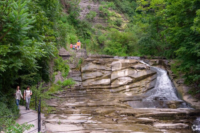 Cascadilla Gorge Trail near Fall Creek features eight waterfalls and ends at Cornell University.