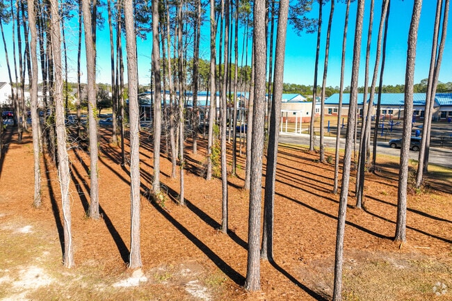 William M. Reeves Elementary School is surrounded by tall trees.