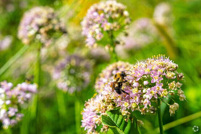 Lake Crystal offers rural living with open space and farmland surrounding the community, where thousands of acres create scenic beauty and agricultural heritage that defines the area.