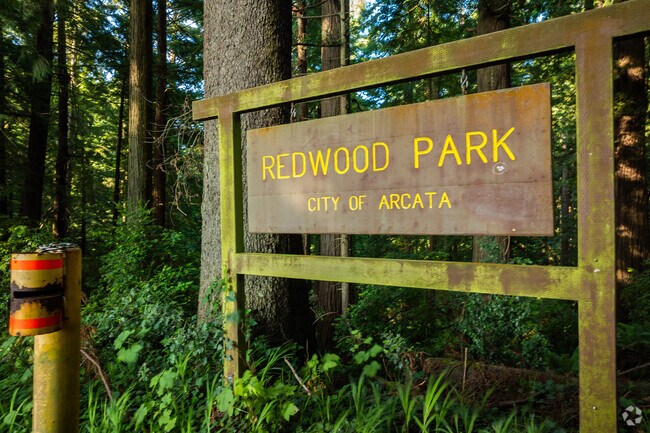 Redwood Park, near Arcata Heights-Northtown, is beloved by locals for its beauty and proximity.