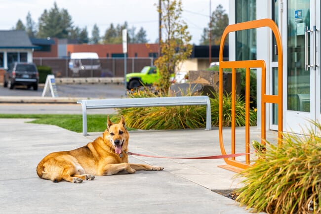 Many shops are within walking distance for many residents to bring their pets.