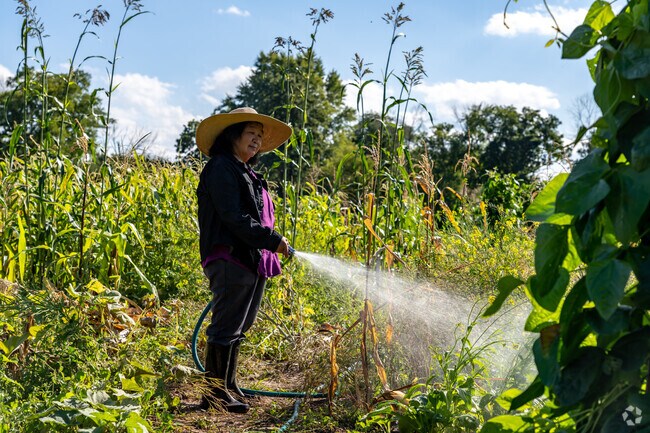 Residents of South Marion enjoy tending the neighborhood's several community gardens.