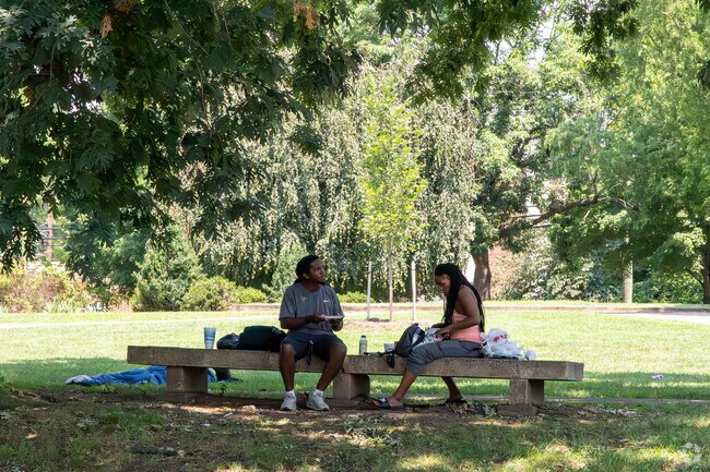 Market Street Park is in the middle of North Downtown and offers lots of greenery.