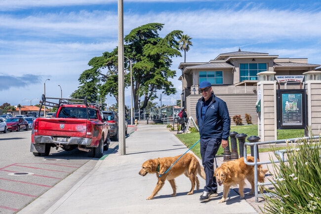 Channel Island Harbor is the perfect place to walk your pets.