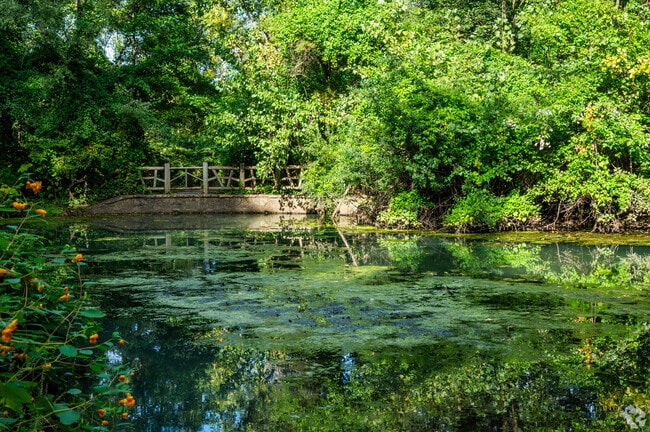 Peace, beauty and tranquility await you at the Udall's  Park and Preserve in Douglaston.
