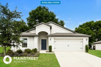 1696 Gopher Tree St, Mascotte, FL 34753