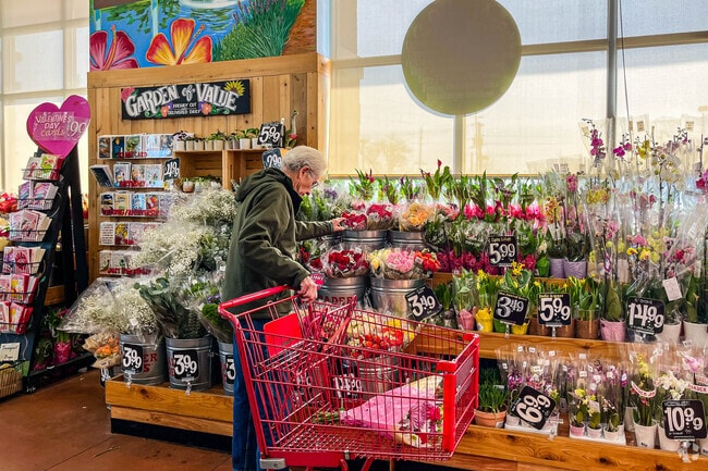 Daily fresh‑cut flowers at Trader Joe’s in North Brunswick, NJ for cheerful, stylish homes.