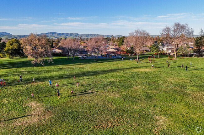 It's common to see residents playing in the large open fields at Karl Wente Park.