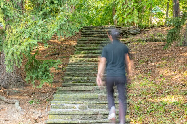 Historic stone stopes run up and along the hills of Grampian Hills.