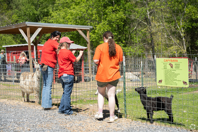 Saks Alabama features Redbird Willow Farm, which hosts over a hundred animals, including miniature donkeys, goats, and even a wallaby.