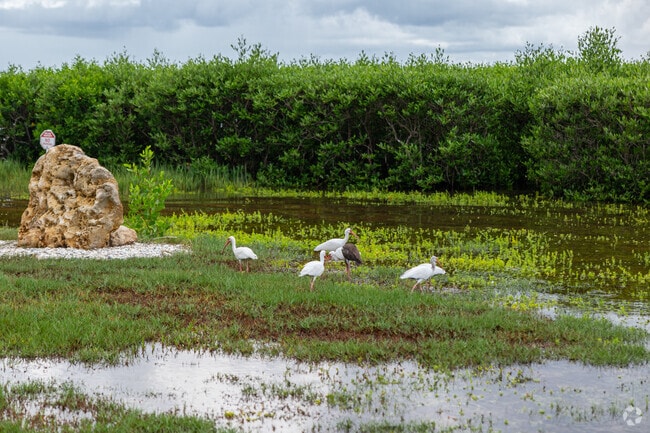 Pineland residents include the many local birds and wildlife native to the area.