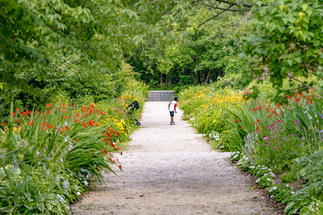 A young man enjoys a game of hide-and-seek in one of Crane Park's beautiful gardens.