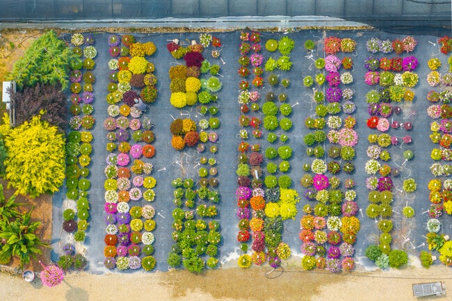 Take your pick from one of a few different flower farms in the Loudon area.