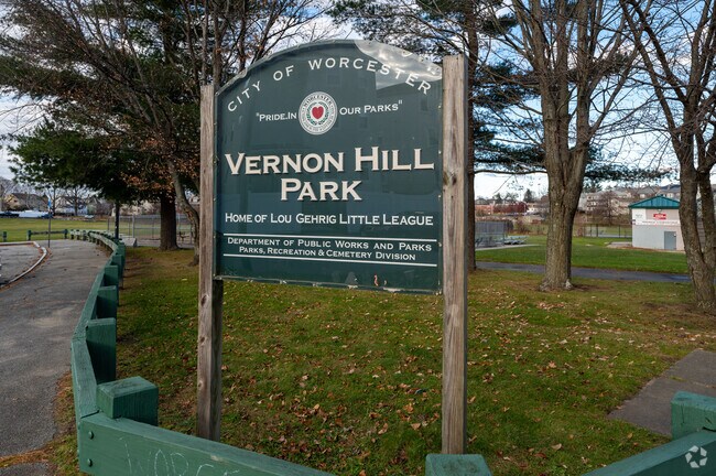 Families frequent Vernon Hill Park for open space near the pool and fields.