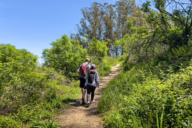 Bayshore sits next to San Bruno Mountain's miles of parkland.