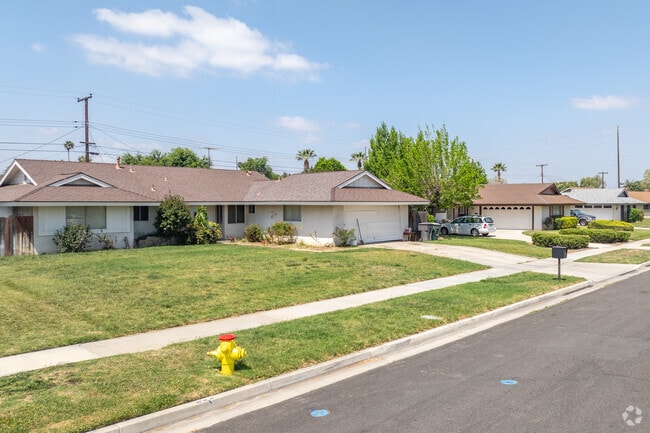 In Arlington, a street is adorned with a row of spacious ranch-style homes.
