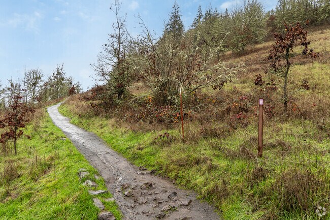 Mount Pisgah offers opportunities for hiking in Goshen.