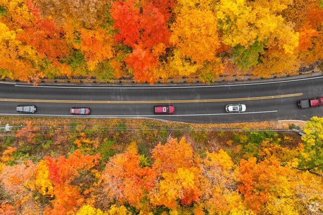 The autumn colors are simply stunning in the Hawthorn Hills neighborhood.
