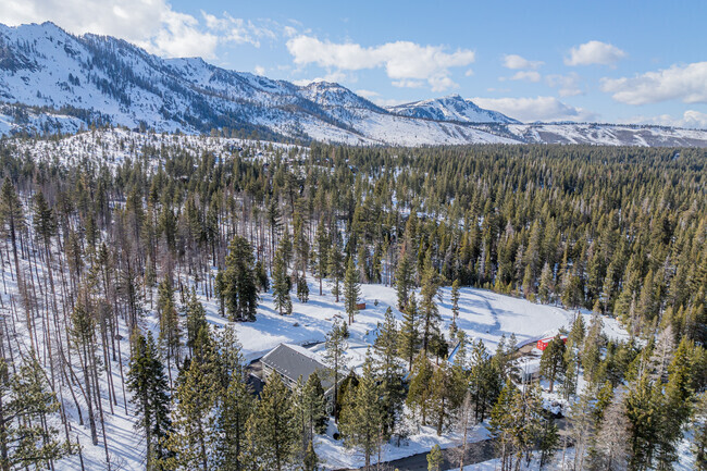 Lake Tahoe School, nurturing engaged learners in Incline Village.