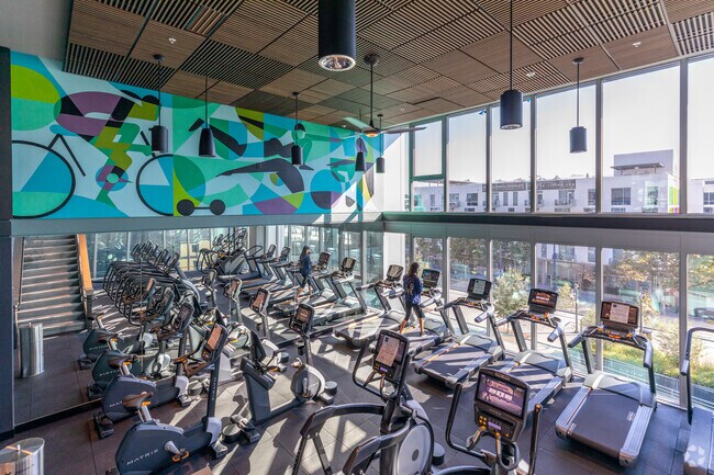 Fitness