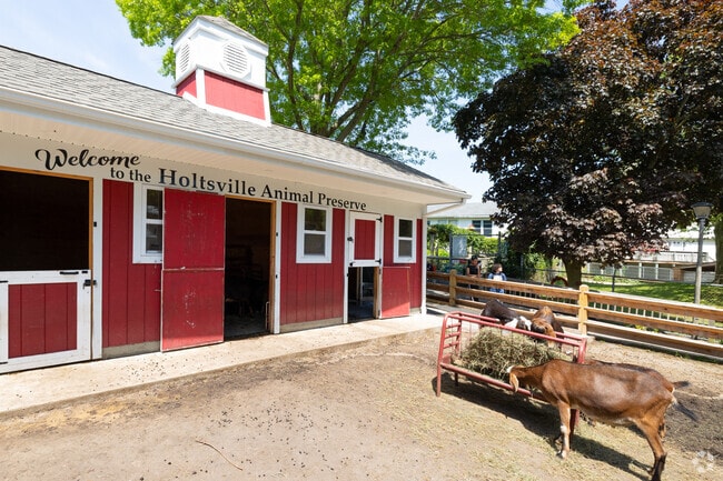 The Holtsville Animal Preserve is a great small zoo to take small children.