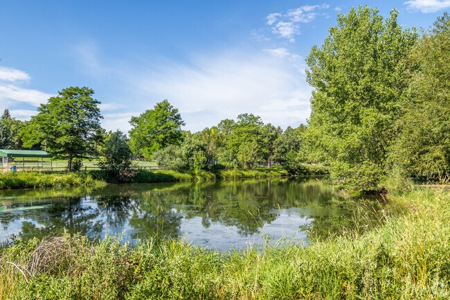 Mission Hills is home to Spring Park, where a serene pond creates a peaceful backdrop for outdoor relaxation.