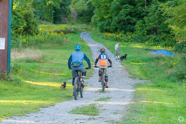 Walkers, bikers, and dogs can enjoy the trails at Arrowhead Recreation Area near Punkershire.