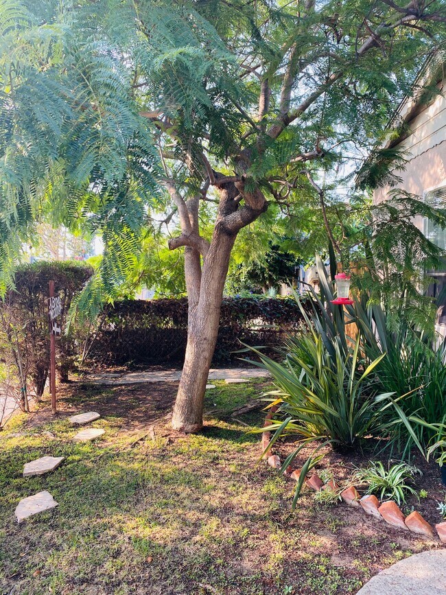 2127 20th St unit A, Santa Monica, CA 90405 - photo 7