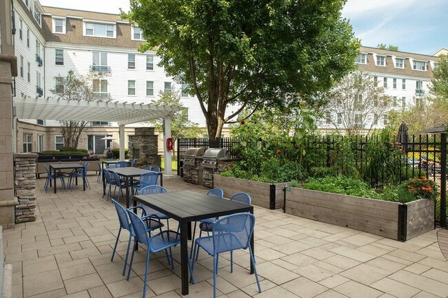 Avana Cliffside, Malden, MA 02148 - photo 7