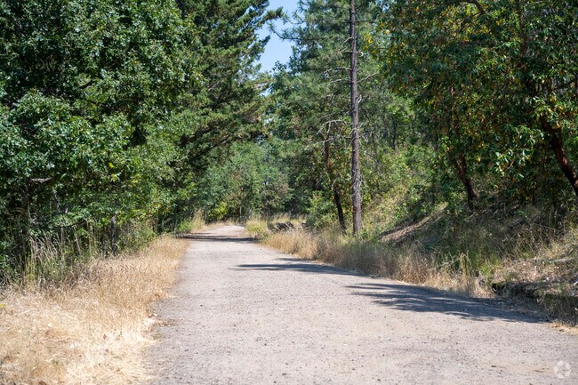 There are plenty of beautiful trails all over the University District.