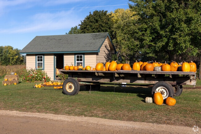 Pumpkins fill a cart for sale during harvest season in Hanover.