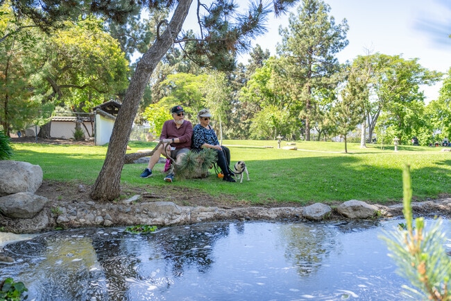 Visitors pause to admire the koi pond and waterfall in the Japanese Friendship Garden, a peaceful retreat within the park.