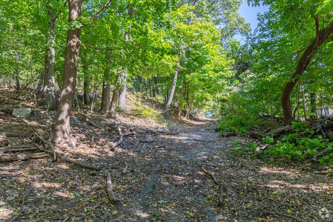 Discover tranquility in a suburban oasis at Jones Woods Park.