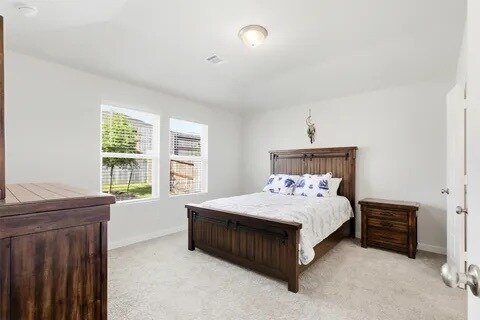 216 Shore Pointe Ct, Montgomery, TX 77356 - photo 7