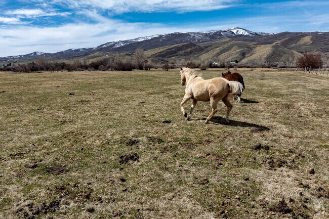 Revel in the rural beauty of Hoytsville.