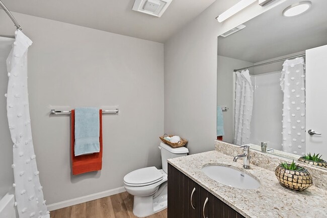 CityScape: Leasing Specials! Newly Renovated Premier Location in Bellevue, Rooftop Entertainment ..., Bellevue, WA 98005 - photo 5