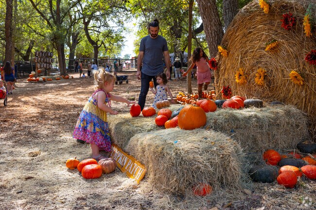 Fall Festival and Indian Springs is a popular family friendly event every October in Buda.