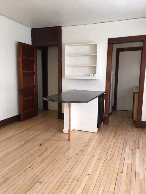 1107 E Gorham St unit 1, Madison, WI 53703 - photo 3