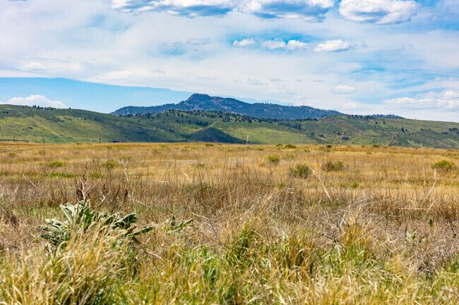 With abundant natural areas, it's easy to find peaceful moments in Registry Ridge.