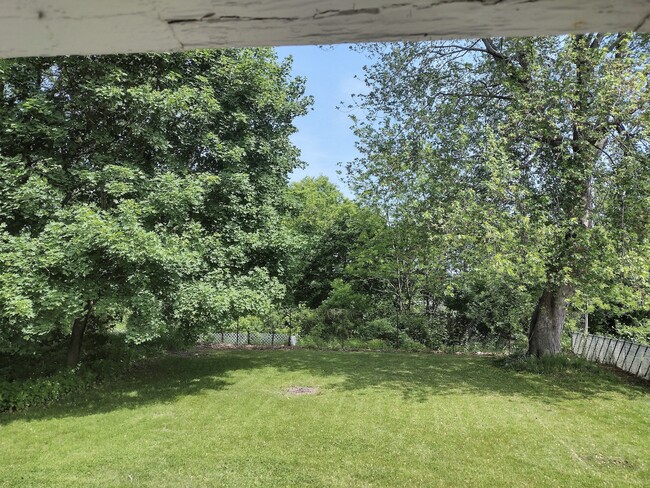 Rear Lawn