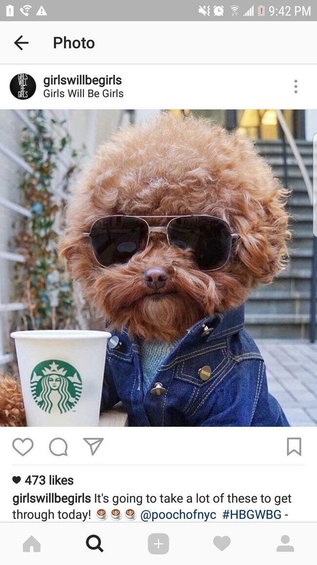 Agent Photo