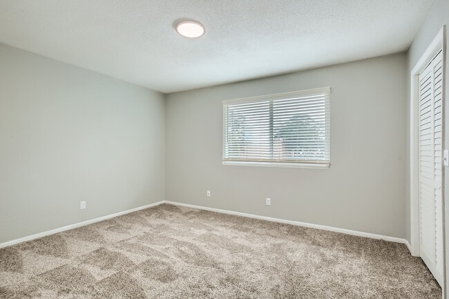 Tree Hill, Jacksonville, FL 32211 - photo 5